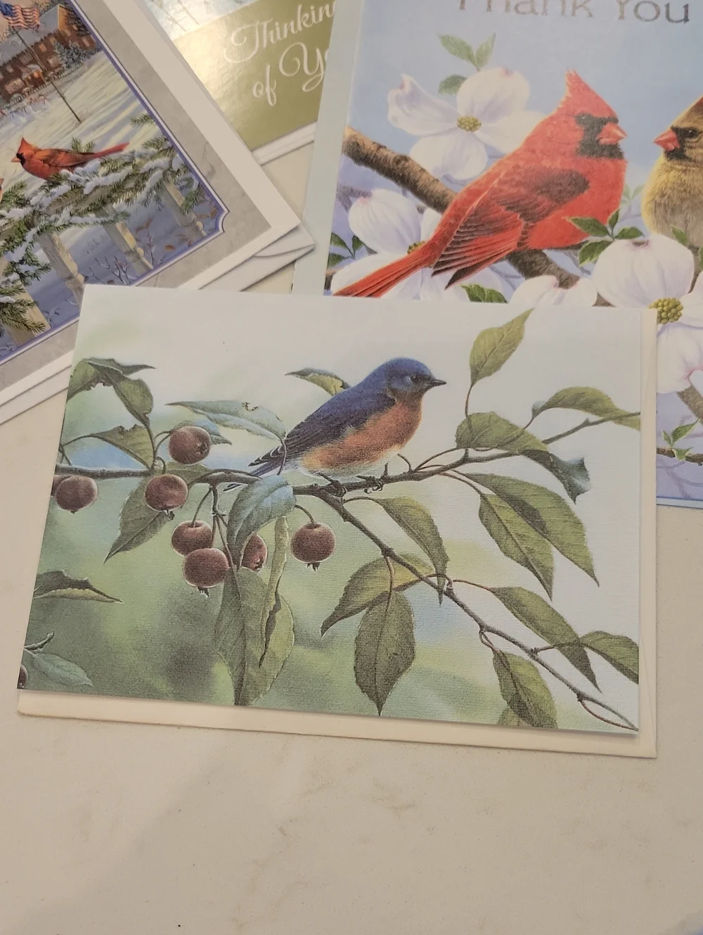 New! Assorted Bird Card Bundle